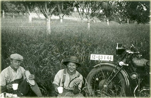 Heuernte 1931 - Hinter der Lay Wittlich 1931